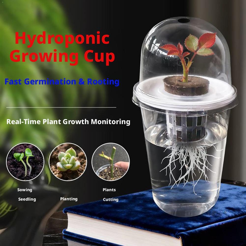 Hydroponic Tower - Maceta de Plástico Transparente para Plantas