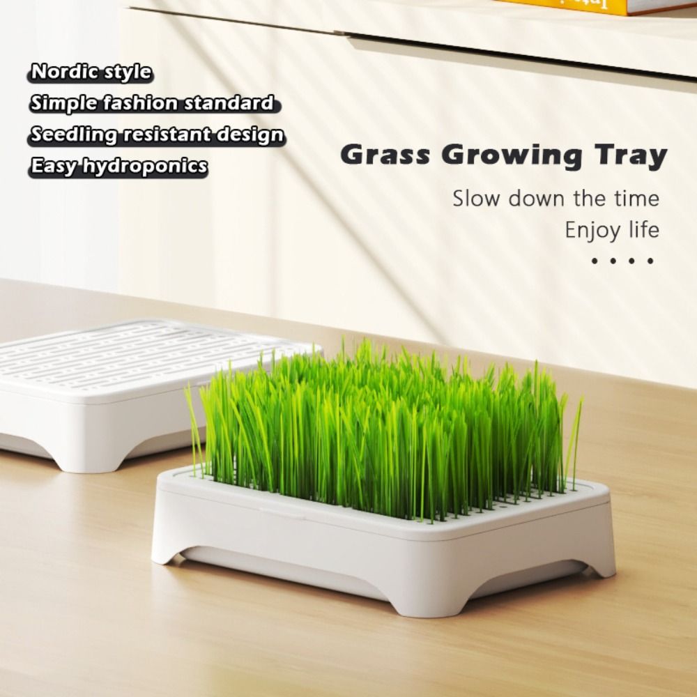 Hydroponic Grow Pod - Bandeja de Siembra Hidropónica de Plástico,