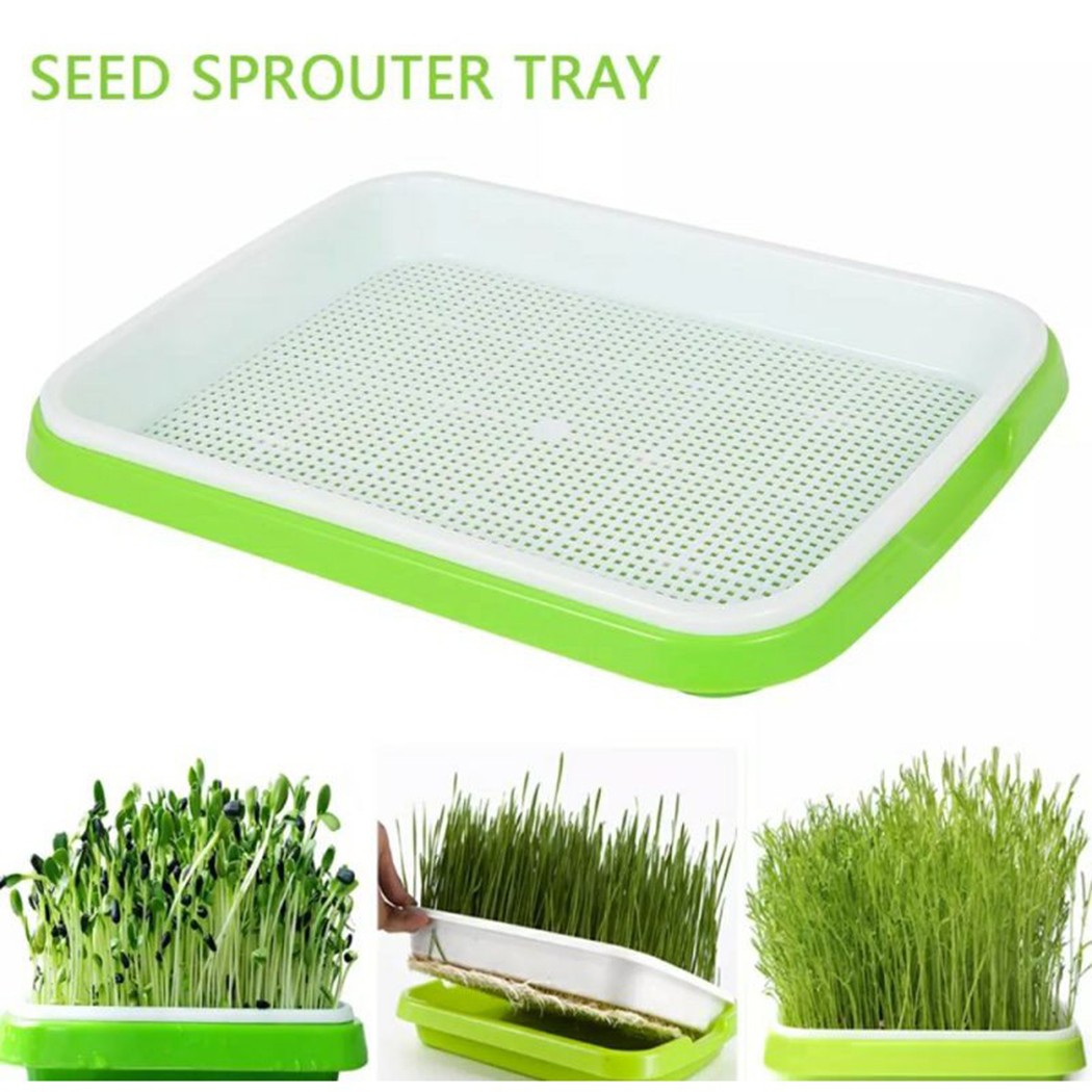 Hydroponic Grow Pod - Bandeja de germinación de microgreens hidropónica/bandeja