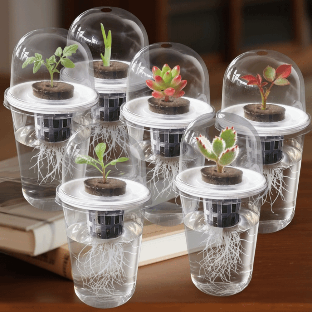 Hydroponic Grow Pod - 1-5 Vasos Transparentes para Germinación de