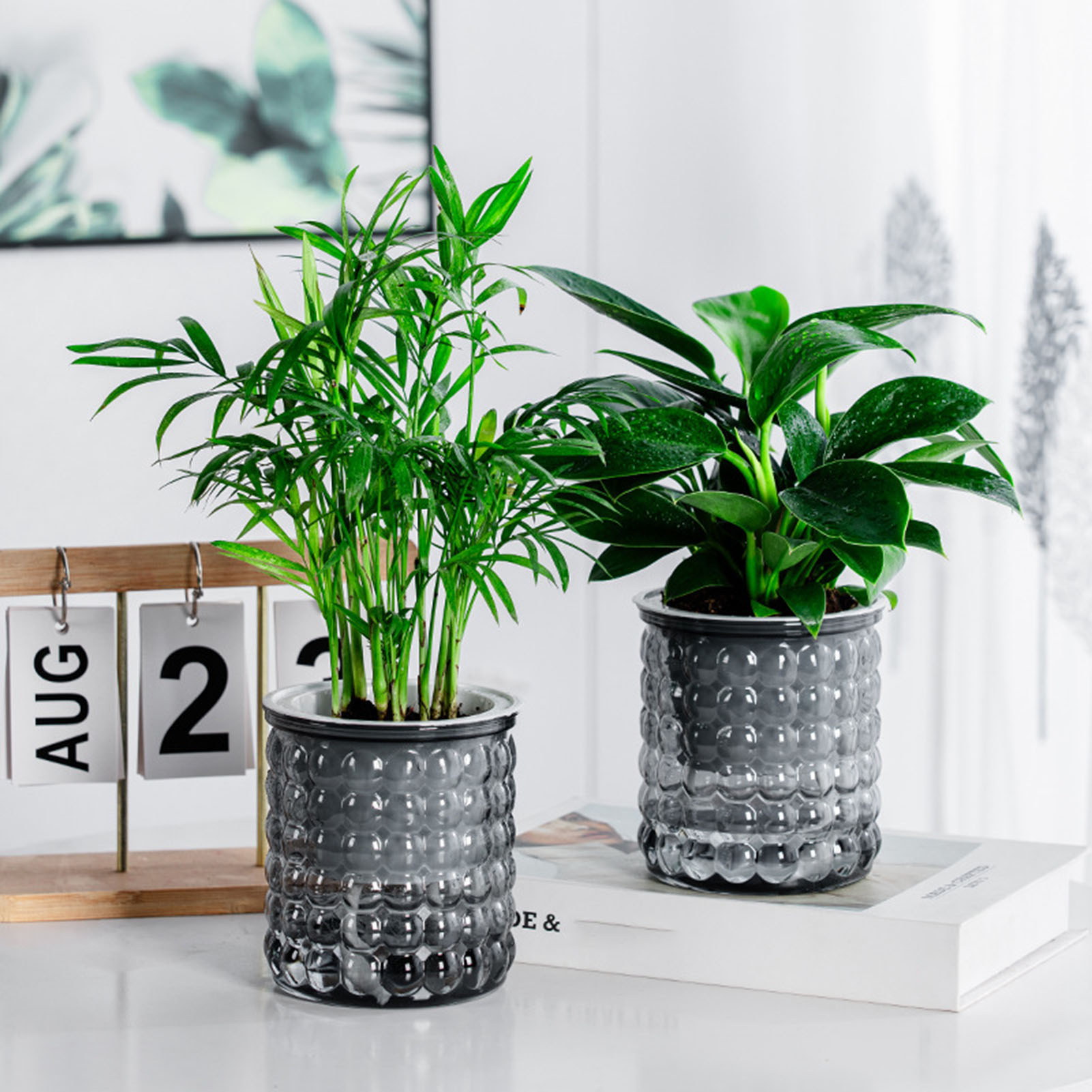 Hydroponic Grow Pod - Nuevo Maceta de plantas hidropónicas de