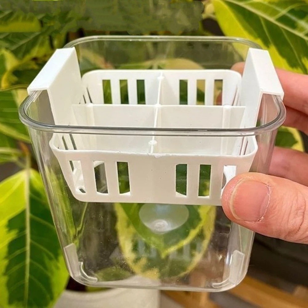 Macetas de Cultivo Hidropónico - Hydroponic Grow Pod reseña y precio