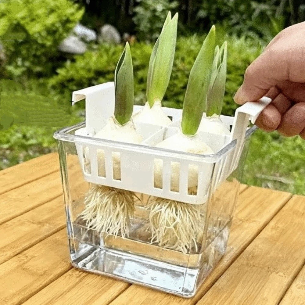 Macetas de Cultivo Hidropónico - Hydroponic Grow Pod reseña y precio