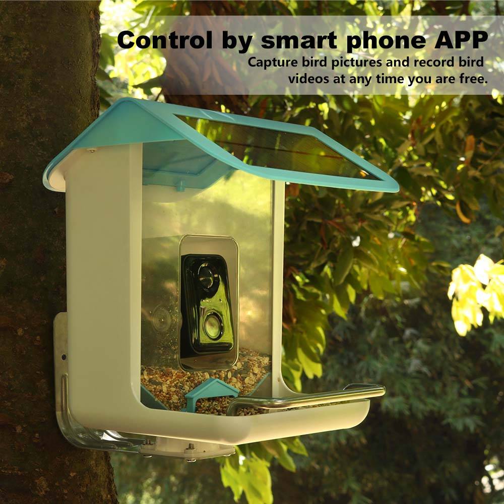 Cámara Wifi para Fauna Silvest - Garden Camera reseña y precio