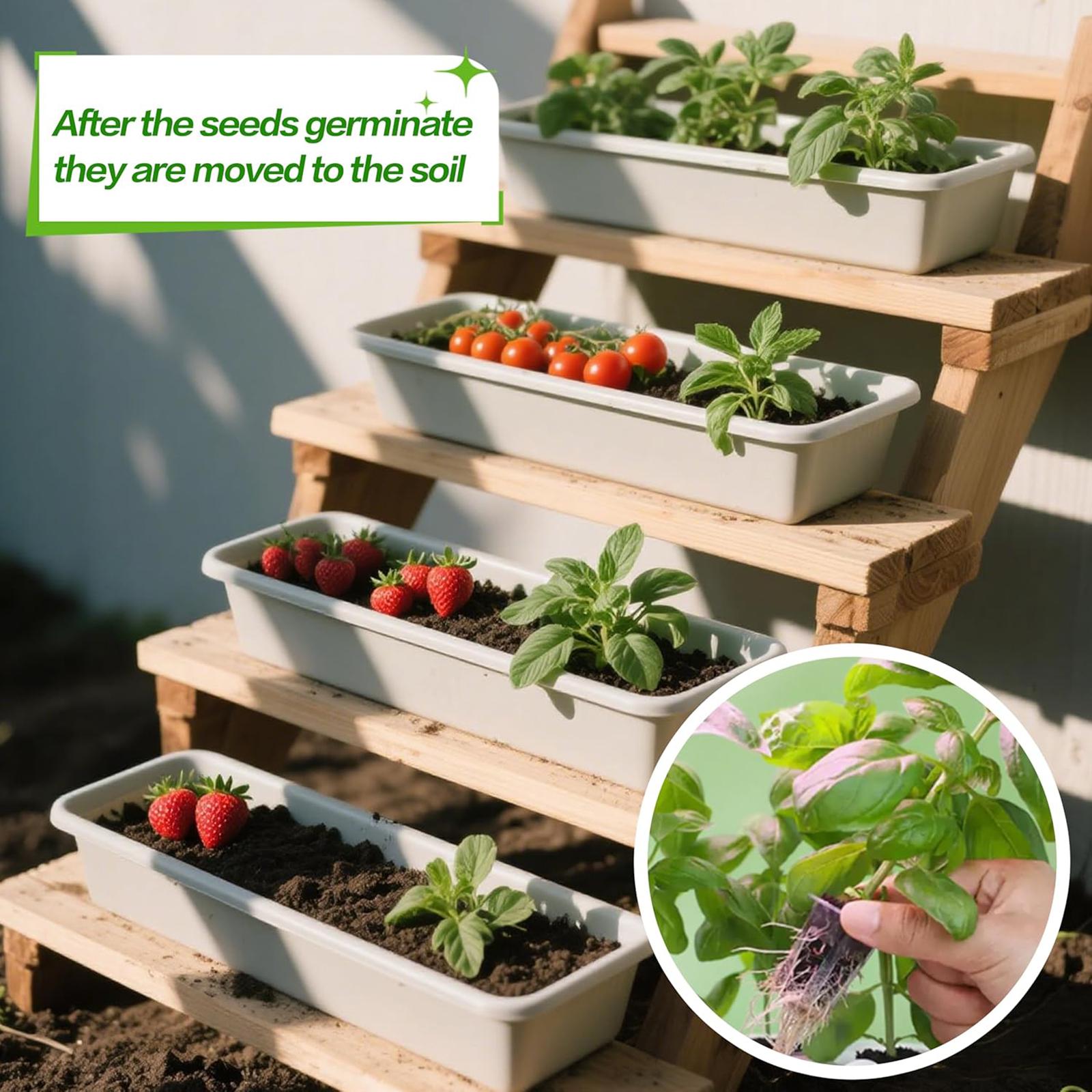 50 Esponjas de Cultivo para el - Hydroponic Grow Pod reseña y precio