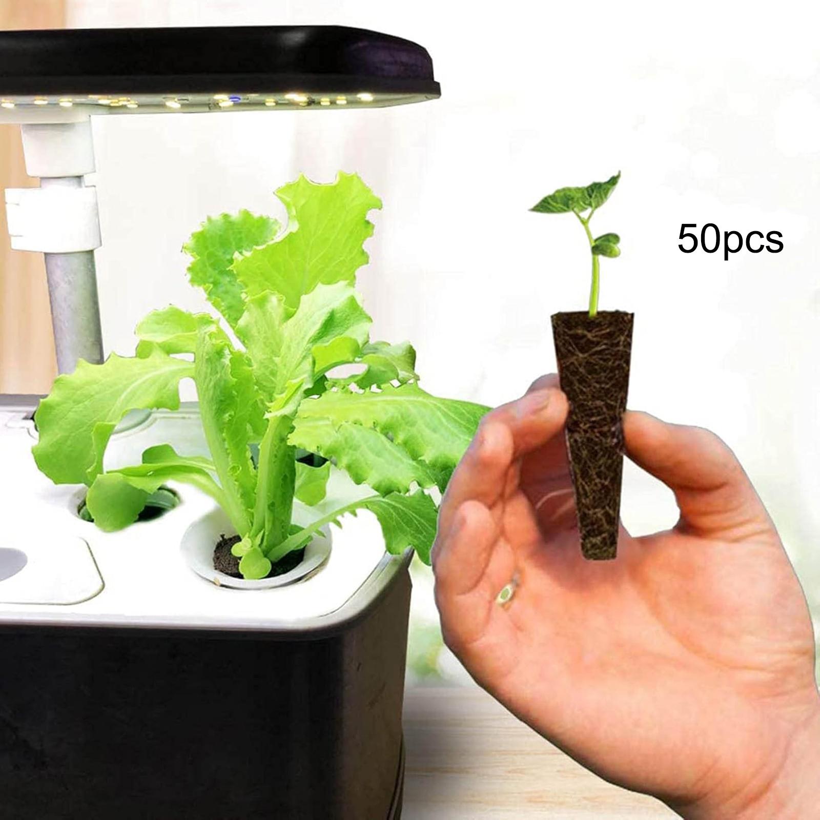 50 Esponjas de Cultivo para el - Hydroponic Grow Pod reseña y precio