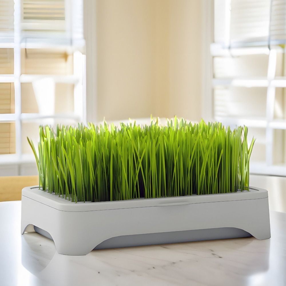 Bandeja de Siembra Hidropónica - Hydroponic Grow Pod reseña y precio