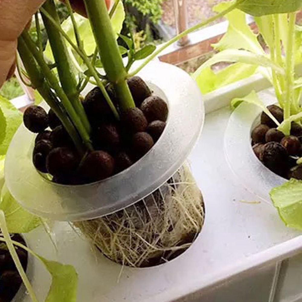 Tazas de malla hidropónicas pa - Hydroponic Grow Pod reseña y precio