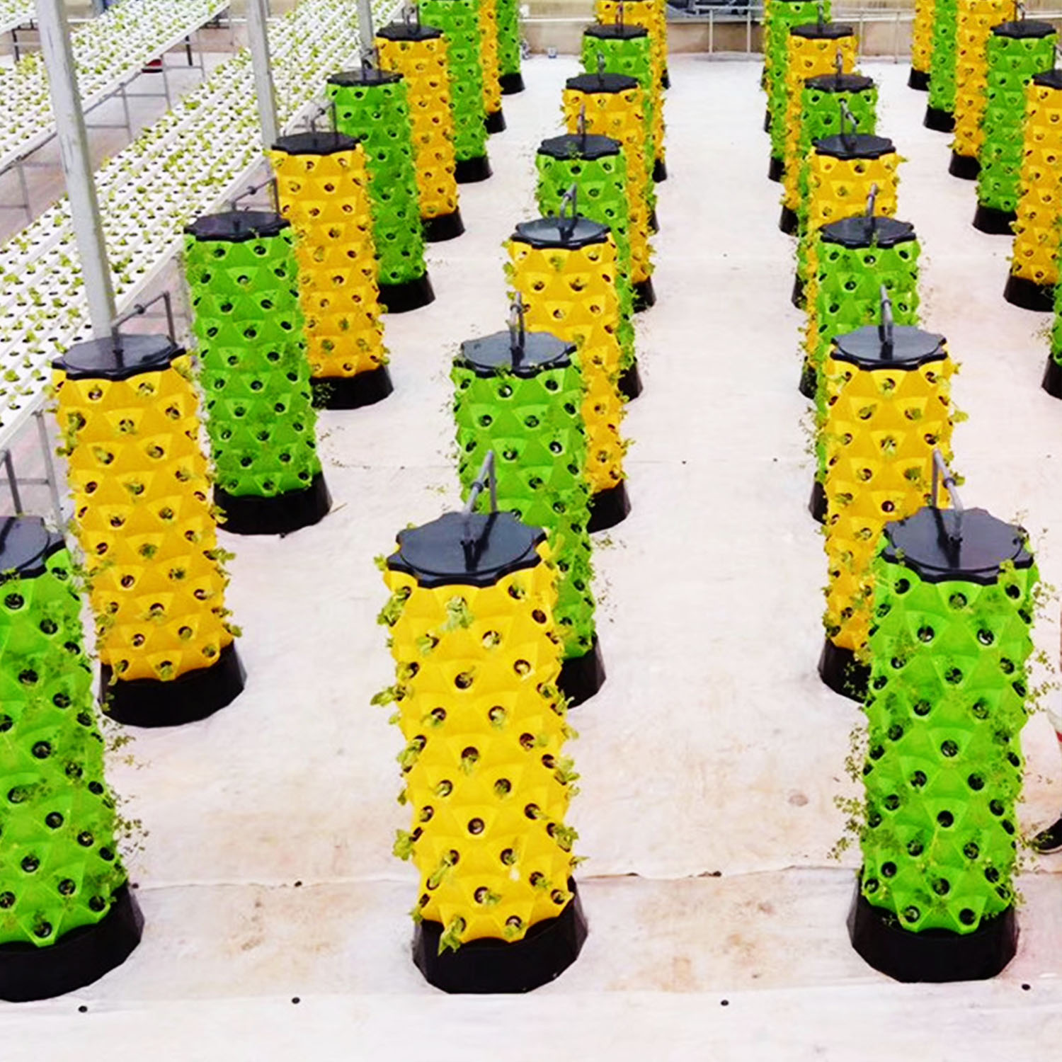 NUEVO Jardín Vertical Hidropón - Indoor Garden Kit reseña y precio