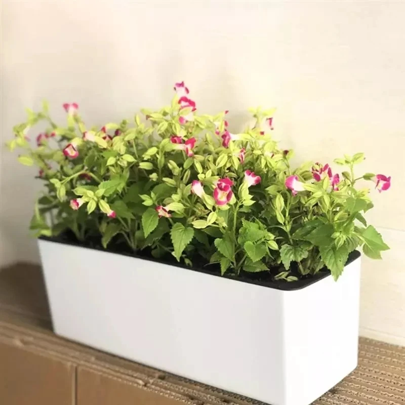 Maceta rectangular para perezo - Plant Monitor reseña y precio