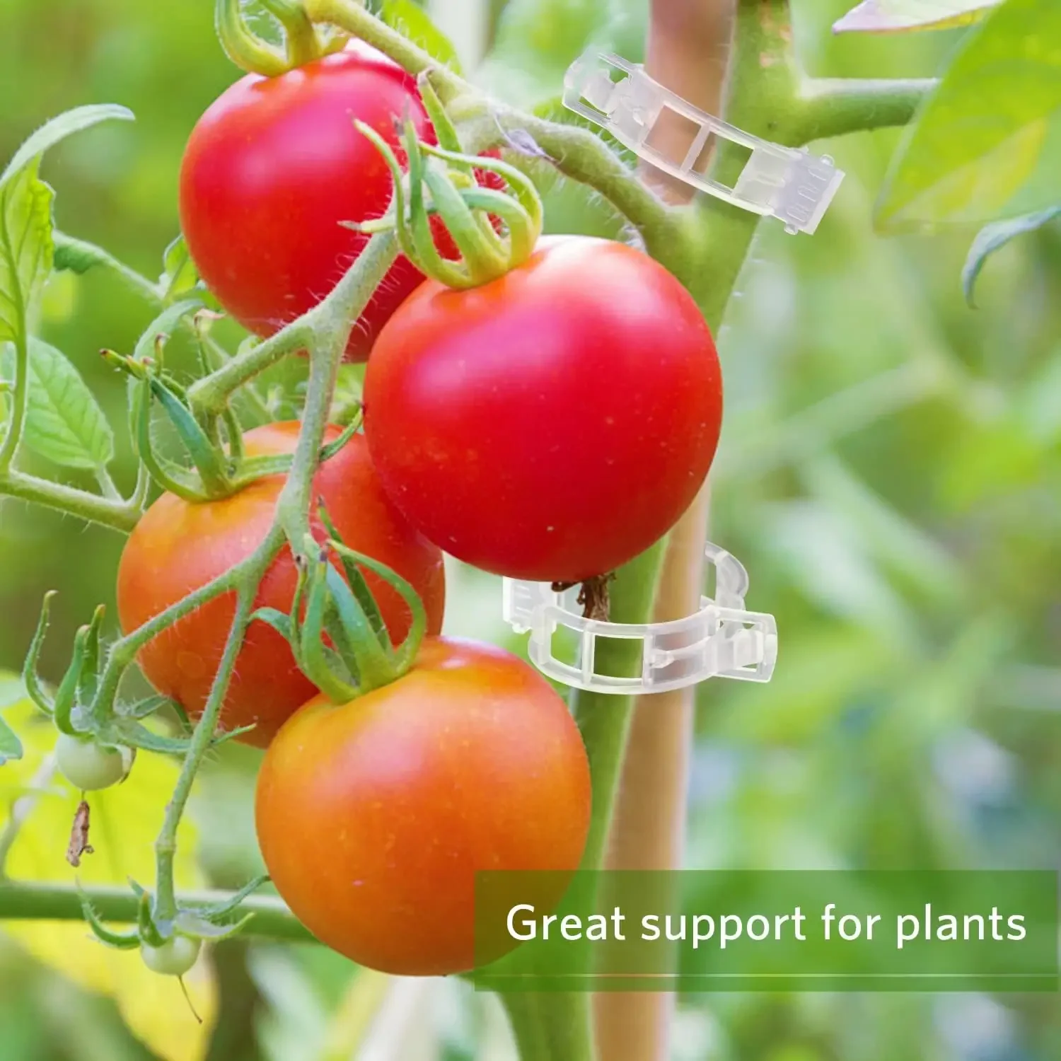 Clips de Soporte para Plantas, - Smart Garden Kit reseña y precio