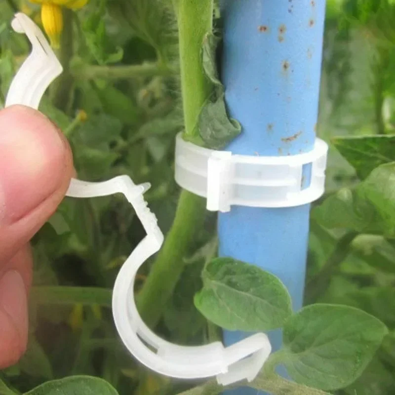 Clips de Soporte para Plantas, - Smart Garden Kit reseña y precio