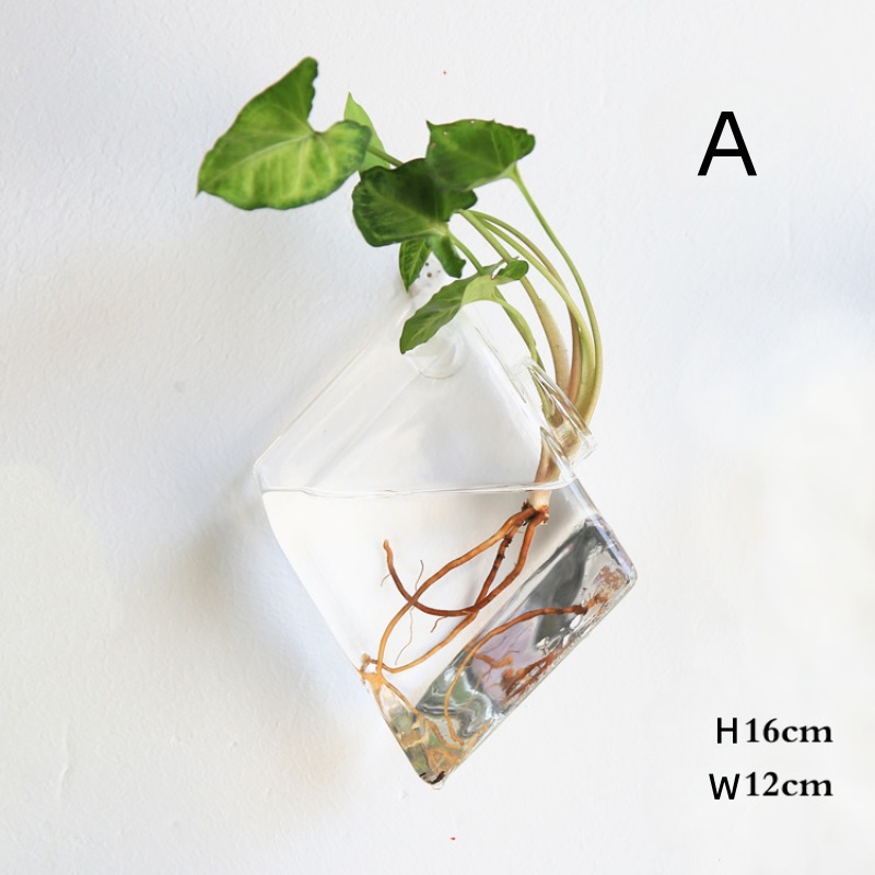 Terrario de vidrio para colgar - Self Watering Planter reseña y precio