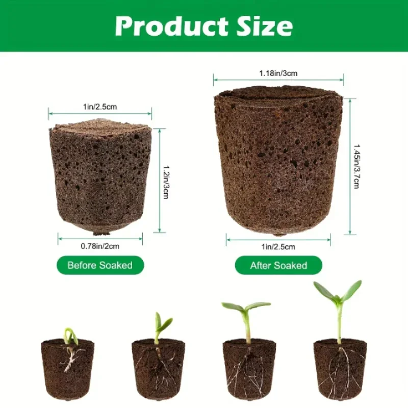 Kit de Esponjas para Germinaci - Indoor Garden Kit reseña y precio