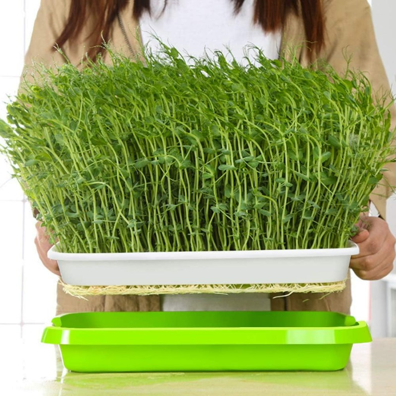 Bandeja de germinación de micr - Hydroponic Grow Pod reseña y precio