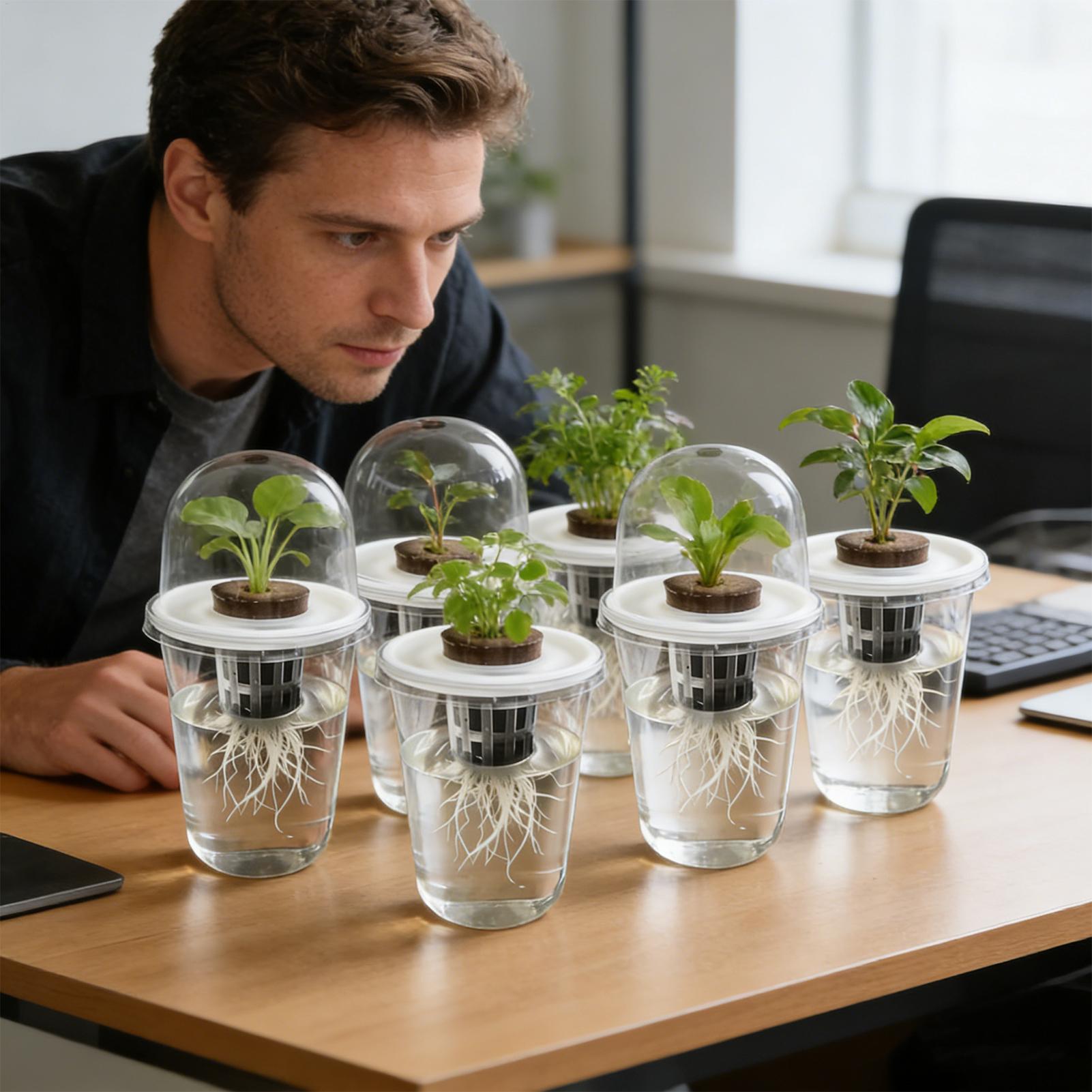 1-5 Vasos Transparentes para G - Hydroponic Grow Pod reseña y precio