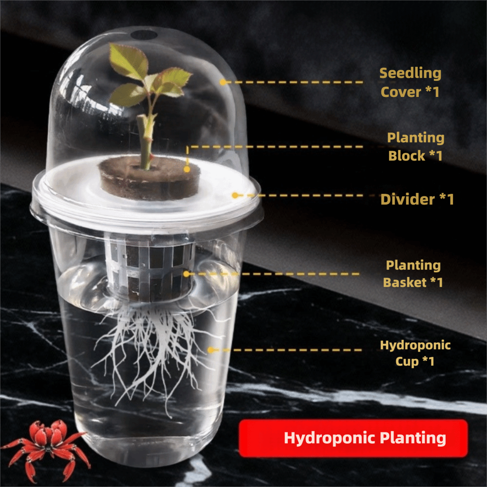 1-5 Vasos Transparentes para G - Hydroponic Grow Pod reseña y precio