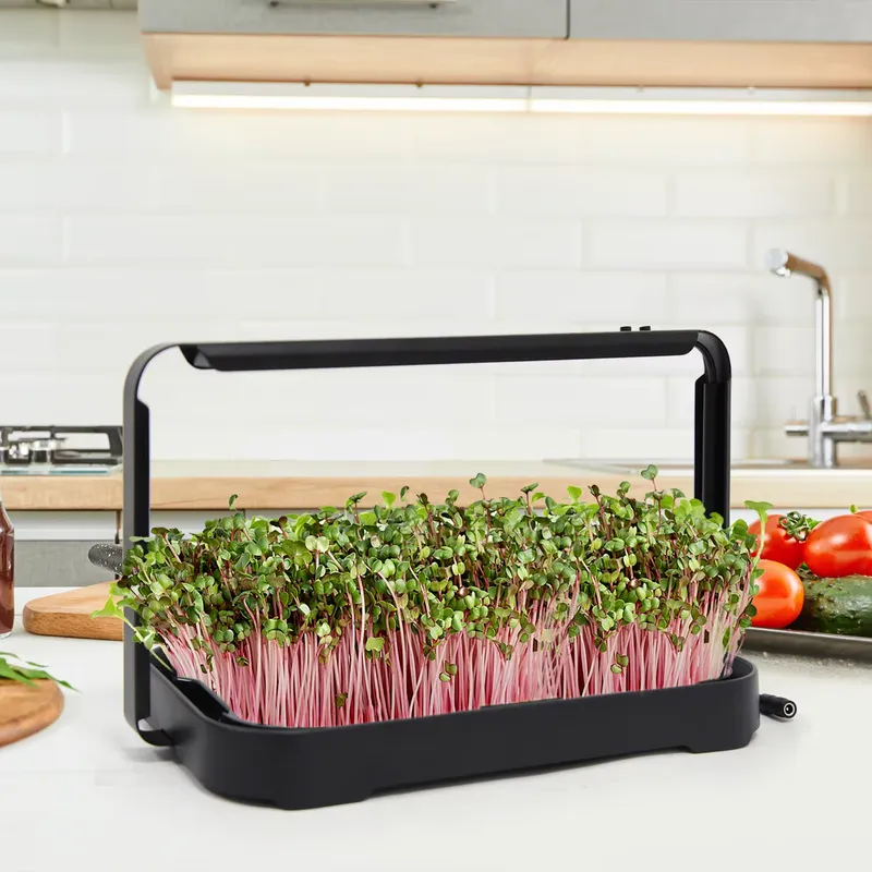 Bandeja Hidropónica para Inter - Indoor Garden Kit reseña y precio